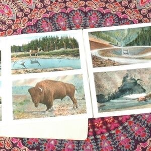 💙Antique Postcards Yellowstone National Park Haynes